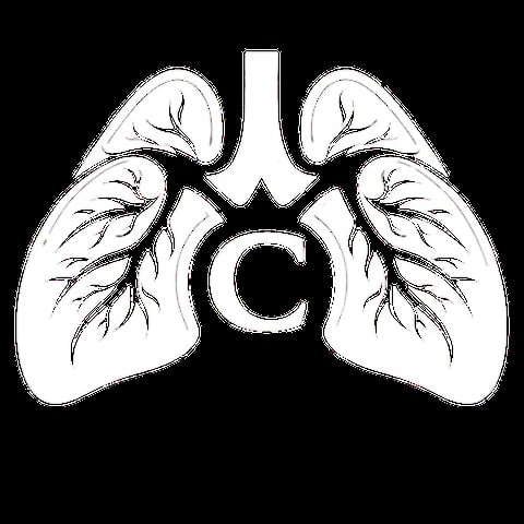 Anatomical diagram of human lungs showing bronchial branching structure with trachea and heart outline